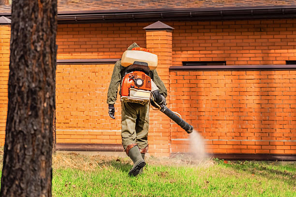 Trusted Rodent Control service in Miramar Beach, FL - Nex Pest Control